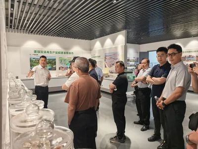 攜手并進(jìn)，共繪綠色未來(lái)——記麗水市生態(tài)文明促進(jìn)會(huì)專家團(tuán)蒞臨天造環(huán)保調(diào)研指導(dǎo)