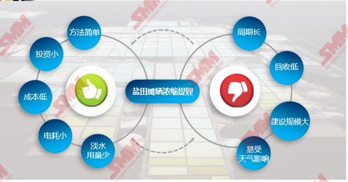 鹽湖鋰資源 稟賦優勢、提鋰技術趨勢與資源再生利用