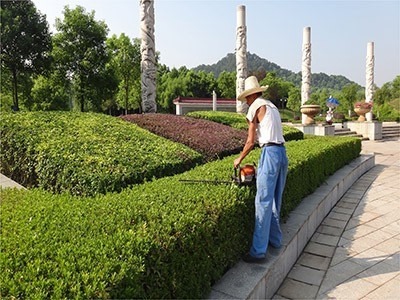 韶關市專業(yè)園林綠化 從草坪養(yǎng)護到綠化工程的全方位服務