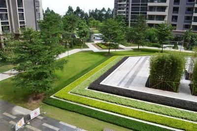 構(gòu)建和諧生態(tài)空間 解析綠化組團(tuán)、層級綠化與廣場景觀工程的融合設(shè)計(jì)