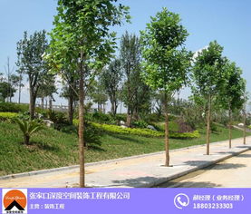 張家口綠化工程施工價格解析 深度空間裝飾工程的專業(yè)視角