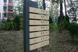 2008社會精品工程 北京清華東路道路綠化工程解析