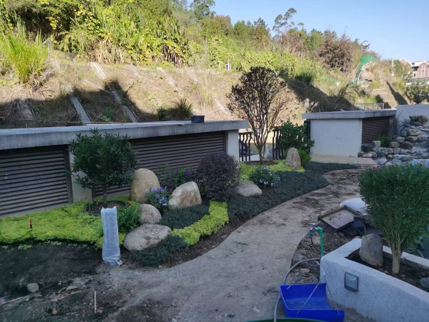 廈門景觀施工綠化工程 城市中的綠意敘事