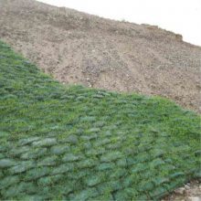 公路護(hù)坡新選擇 生態(tài)植草袋助力綠色工程
